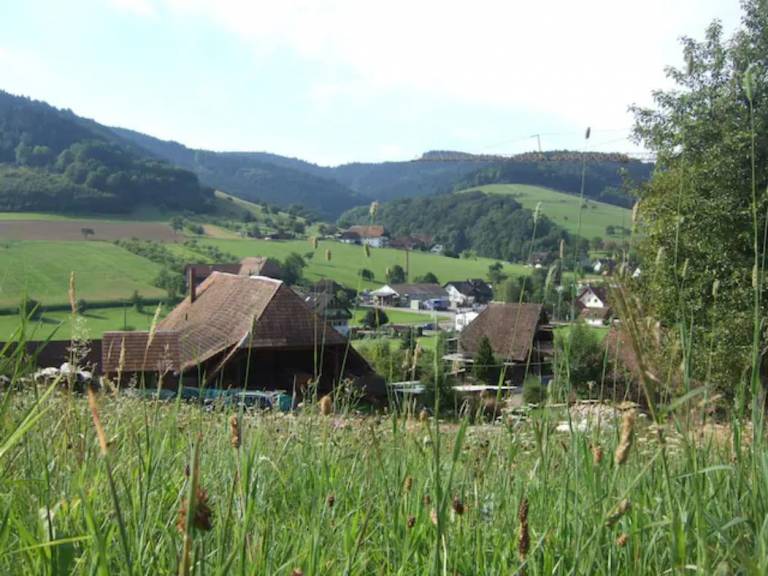 foto14