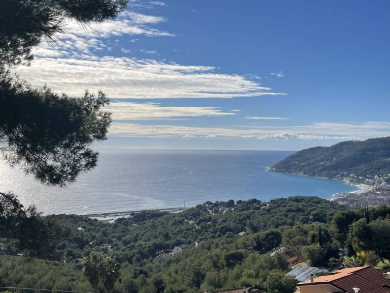 foto15