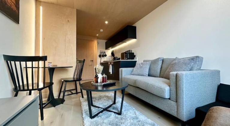 Apartment | Close to Museum of Science and Industry — photo 2