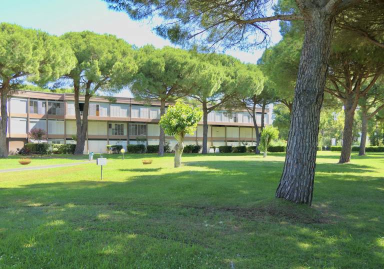 Ferienwohnung in Marina di Bibbona für max. 4 Personen Ferienwohnung in Marina di Bibbona für max. 4 Personen