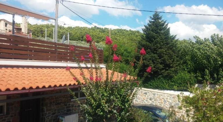 foto41