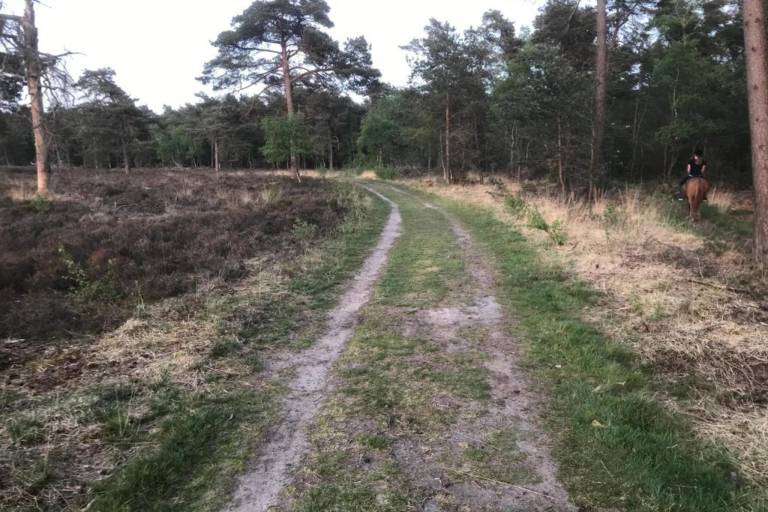 foto30