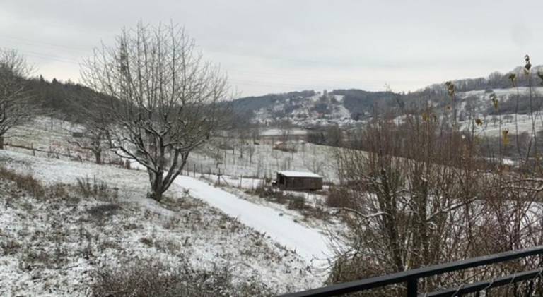 Rental apartment | Pets are welcome in Aalen