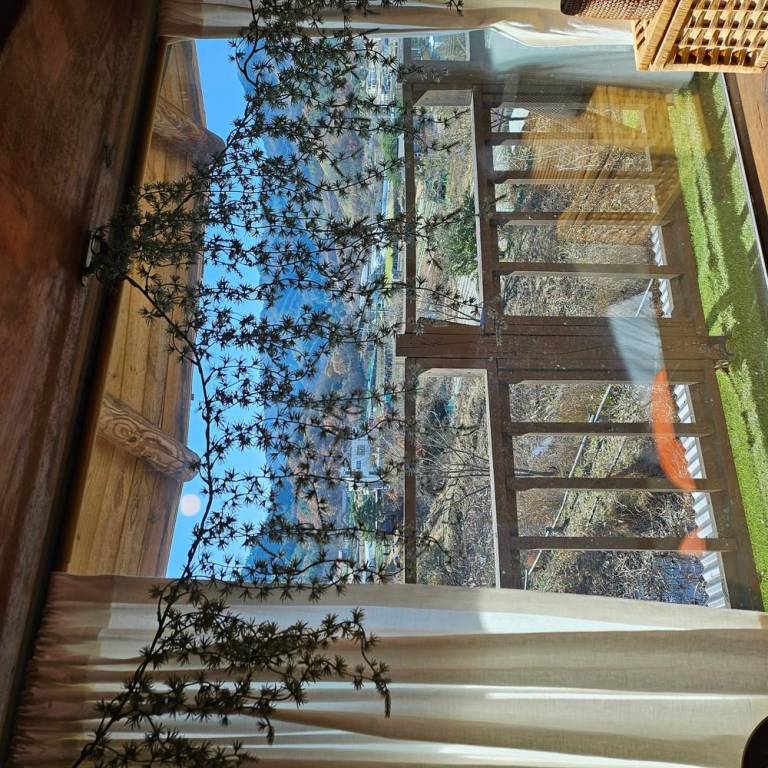 foto31