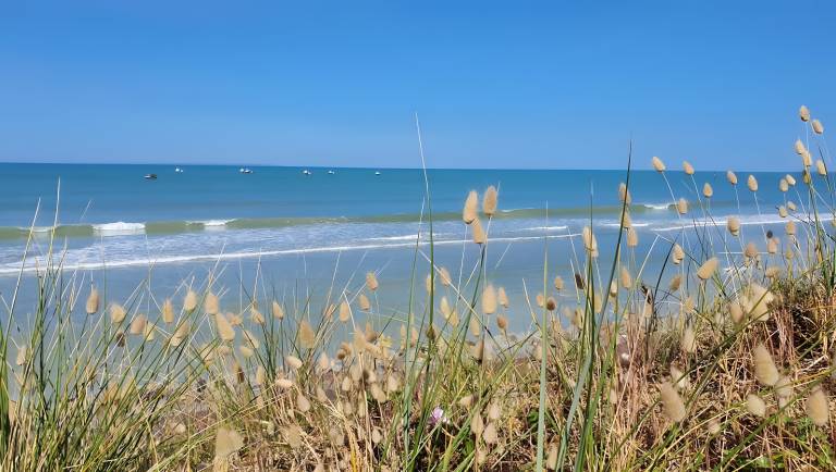 Children-friendly lovely vacation home with barbeque, garden & terrace | Garden view | Pets are welcome — photo 2
