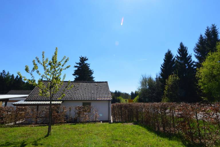 foto5