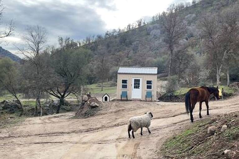 Off Grid Birdhouse Tiny Cabin partially finished