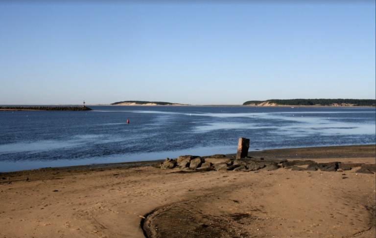 Cottage Wellfleet