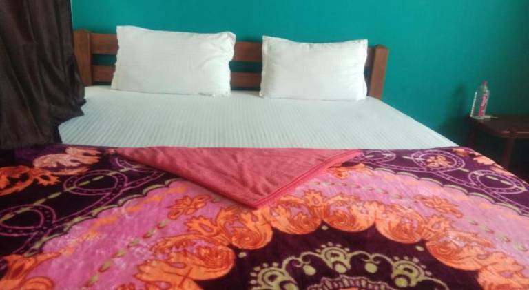 Bed and breakfast Anegundi