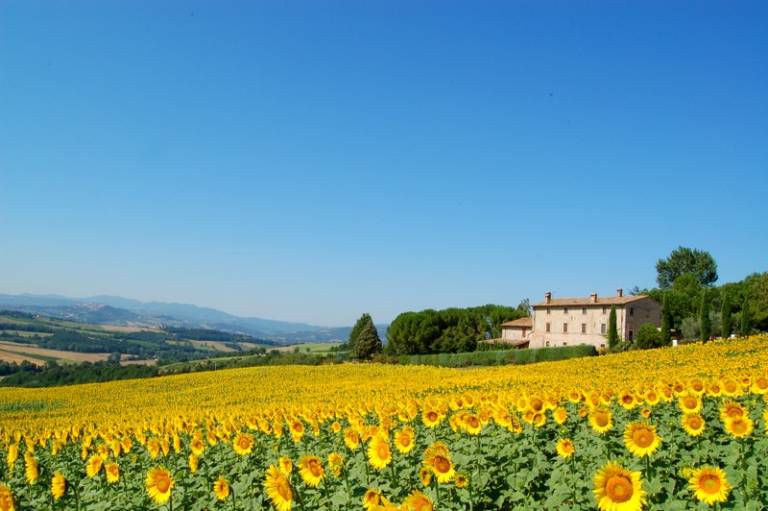 Casale dei Frontini: Il Camino — photo 4