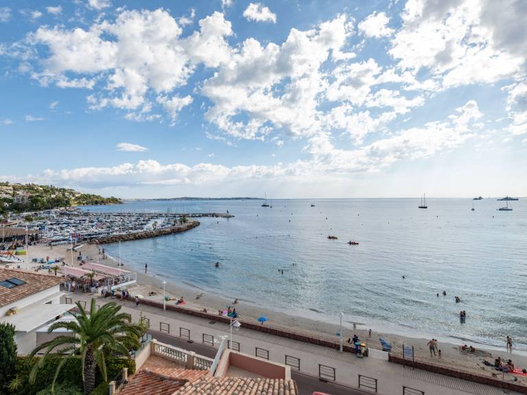 Les Araucarias in Cannes