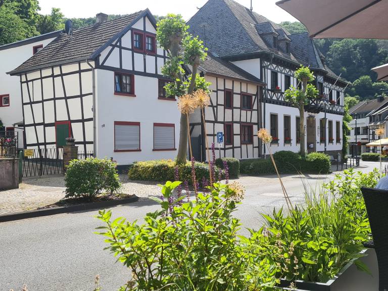 foto1
