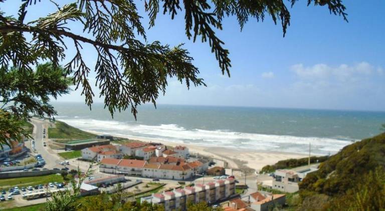 Fully equipped lovely villa with pool, barbeque & terrace | Next to the beach | Dogs allowed — photo 5