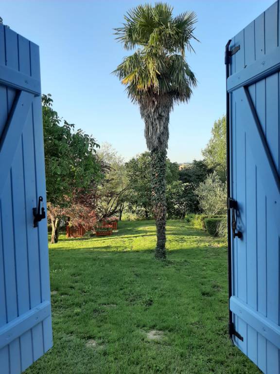 foto12