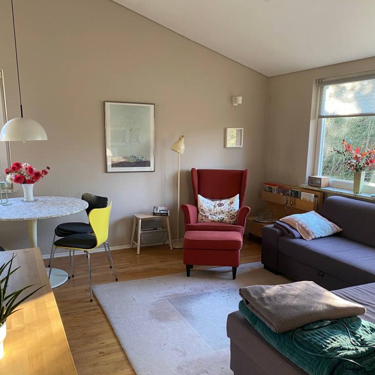 foto17