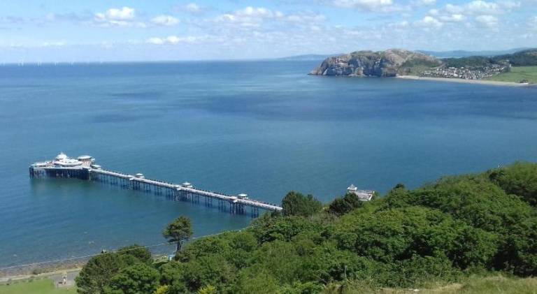 Beautiful house | Dogs allowed — photo 4