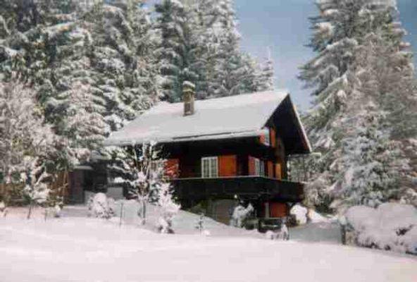 Ferienhaus mit Hund in Châtel-Saint-Denis, Schweiz für max. 4 Personen