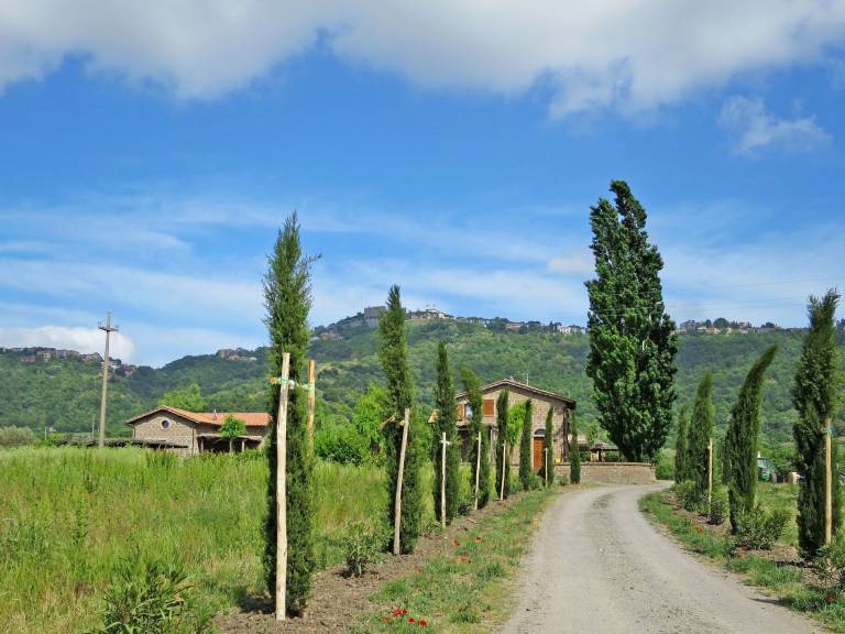 foto12