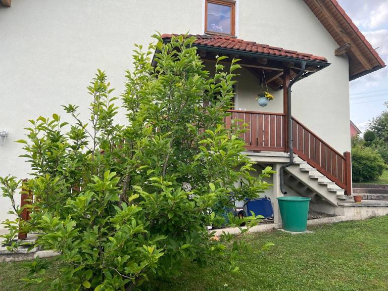foto30