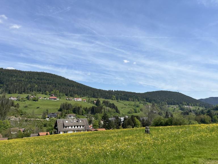 foto10