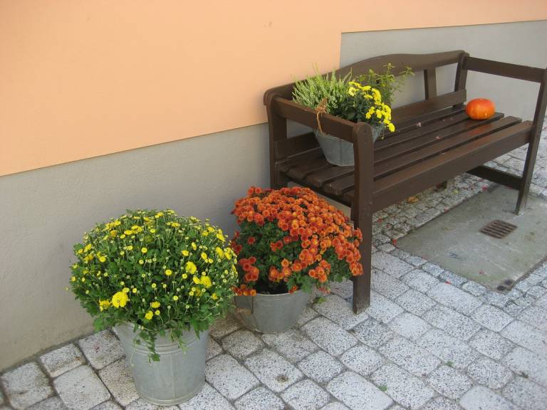 foto2
