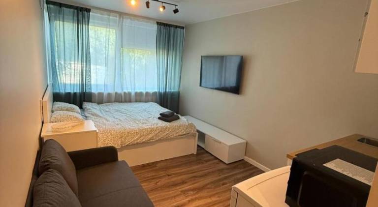 Rental apartment | Dogs allowed in Vilnius