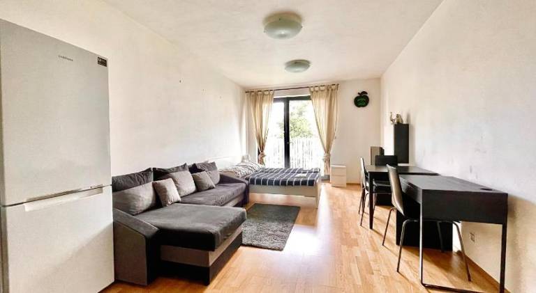 Apartment with garden in Prague