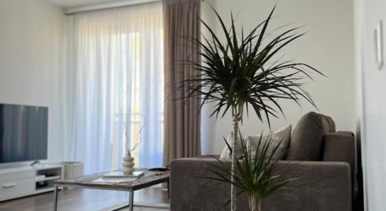 Beautiful holiday apartment | Pet-friendly — photo 2