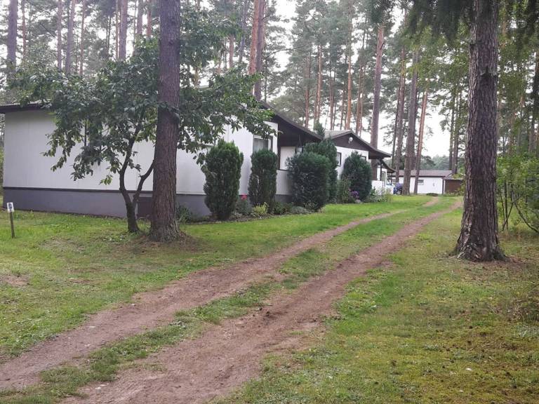 foto11