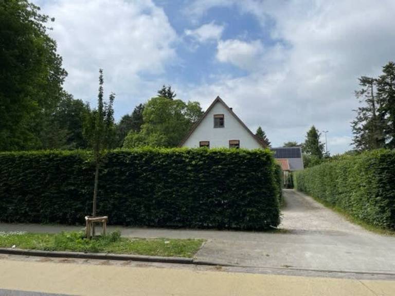 foto11