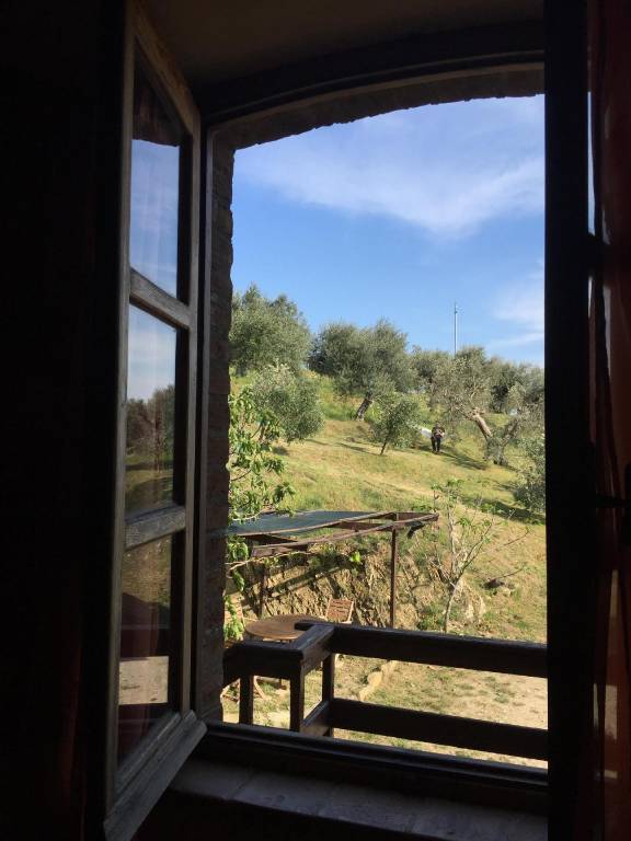 foto11
