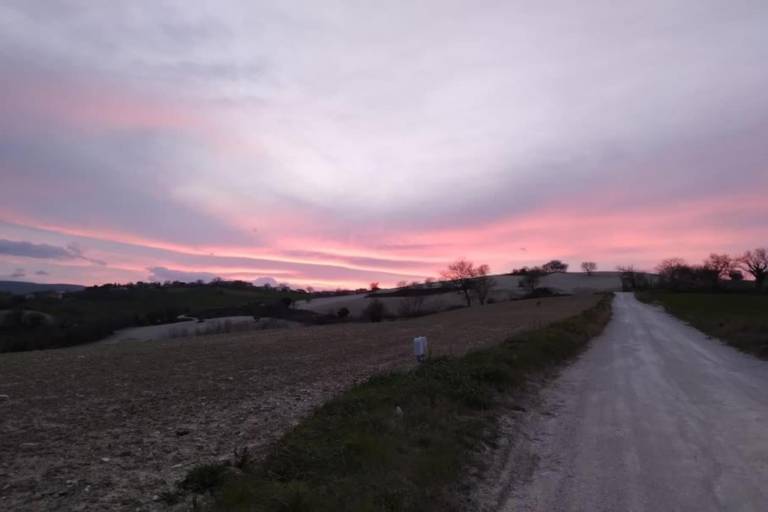 foto37