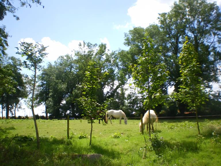 Vacation home with yard | Garden view — photo 4