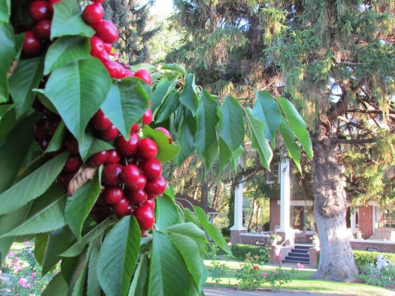 Bed and breakfast  Sunnyslope