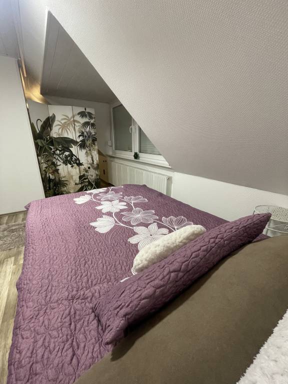 foto7