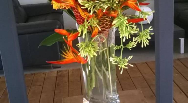 foto28