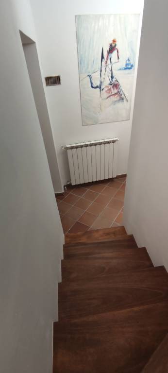 foto37