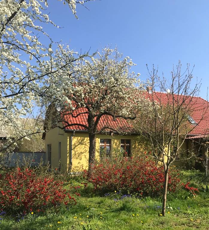 Privatzimmer  Seelow