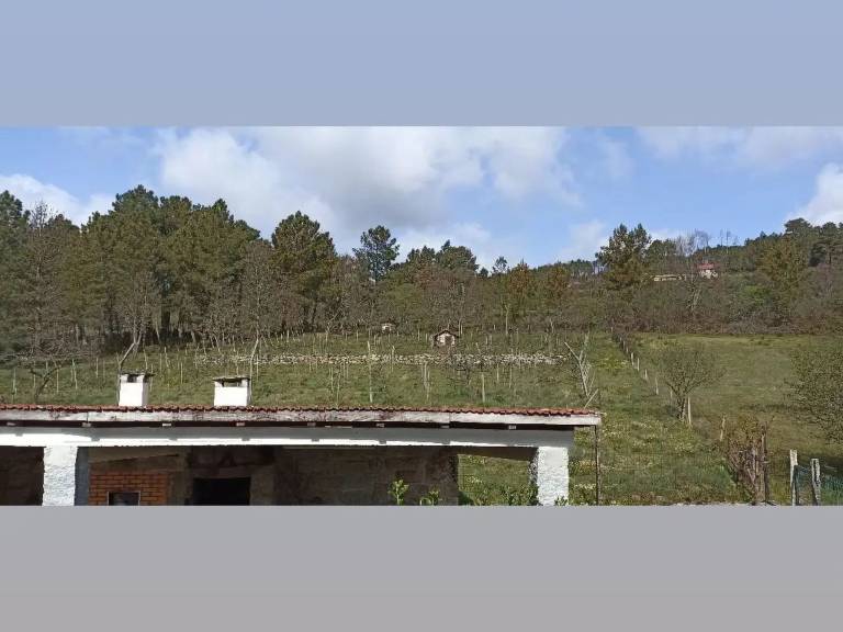 foto41