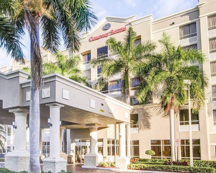 Comfort Suites - Weston — photo 3