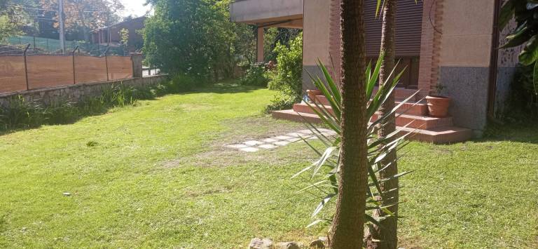 foto31