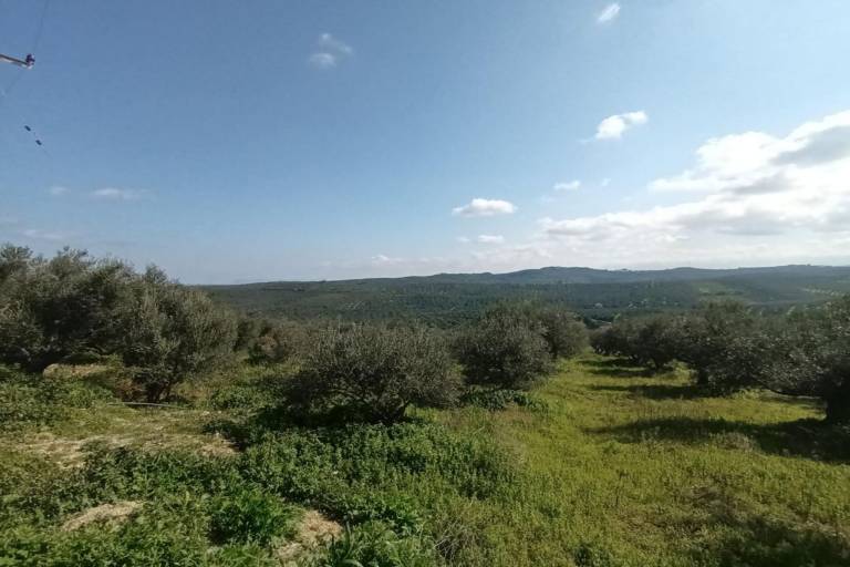 foto15