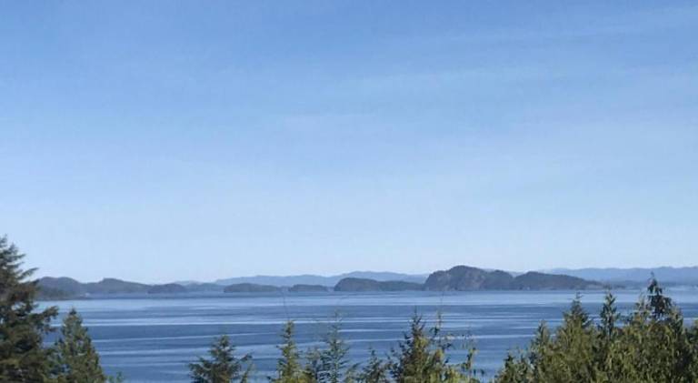 Bear Cove Cottages