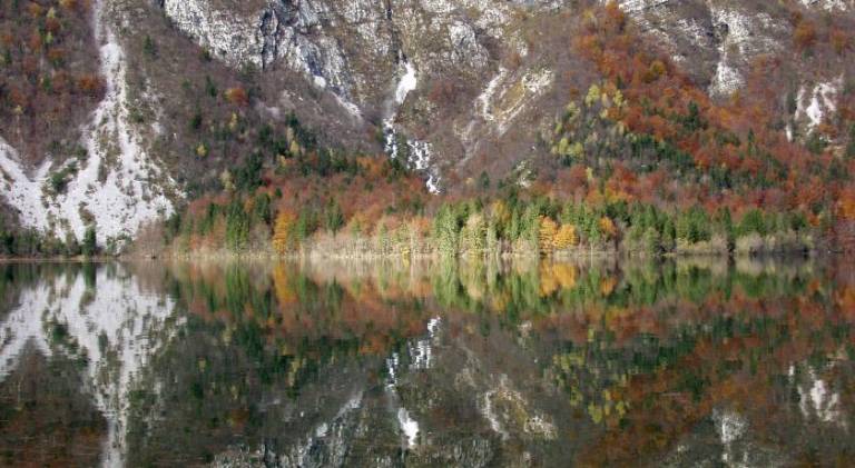 foto39