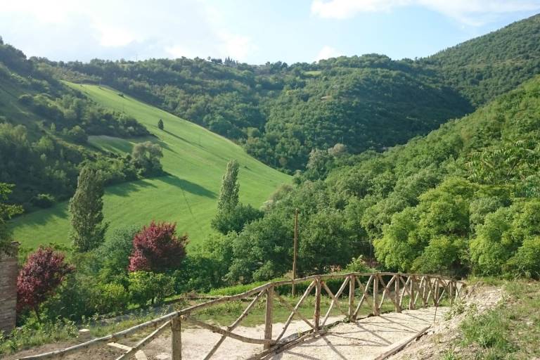 Borgo Canapegna - Casa Boschetto — photo 5