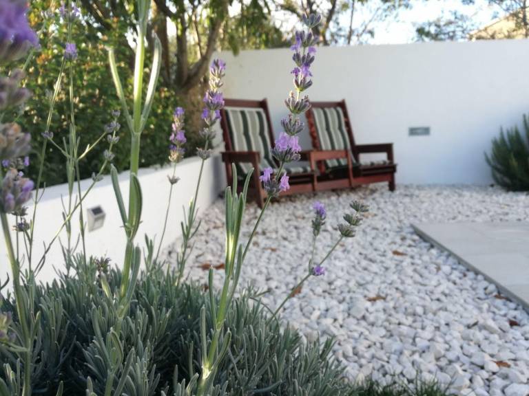 foto42