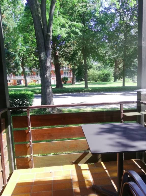 foto8
