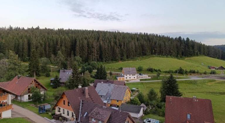foto12
