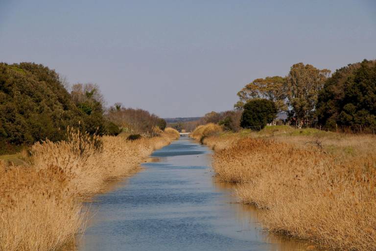 Bed and Breakfast Focene
