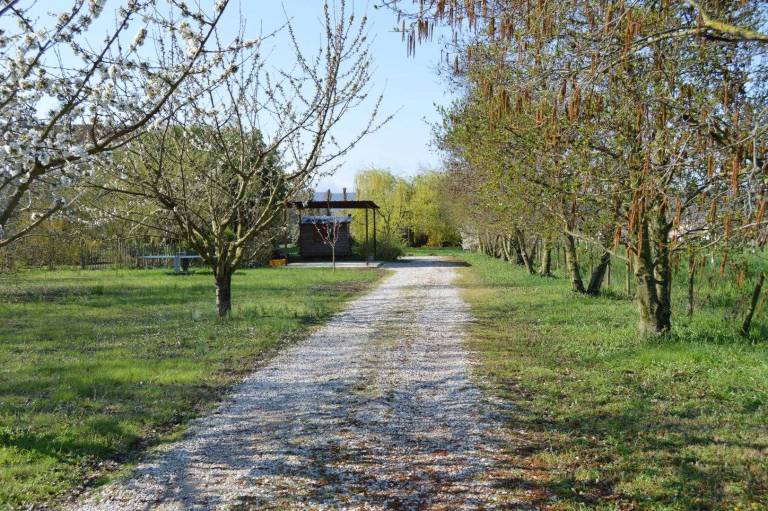 foto43